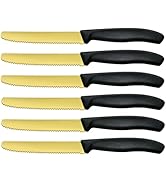 Hunnycook Lot de 6 couteaux à petit-déjeuner, couteaux de table dorés avec lame dentelée, couteau à pain, petit déjeuner...