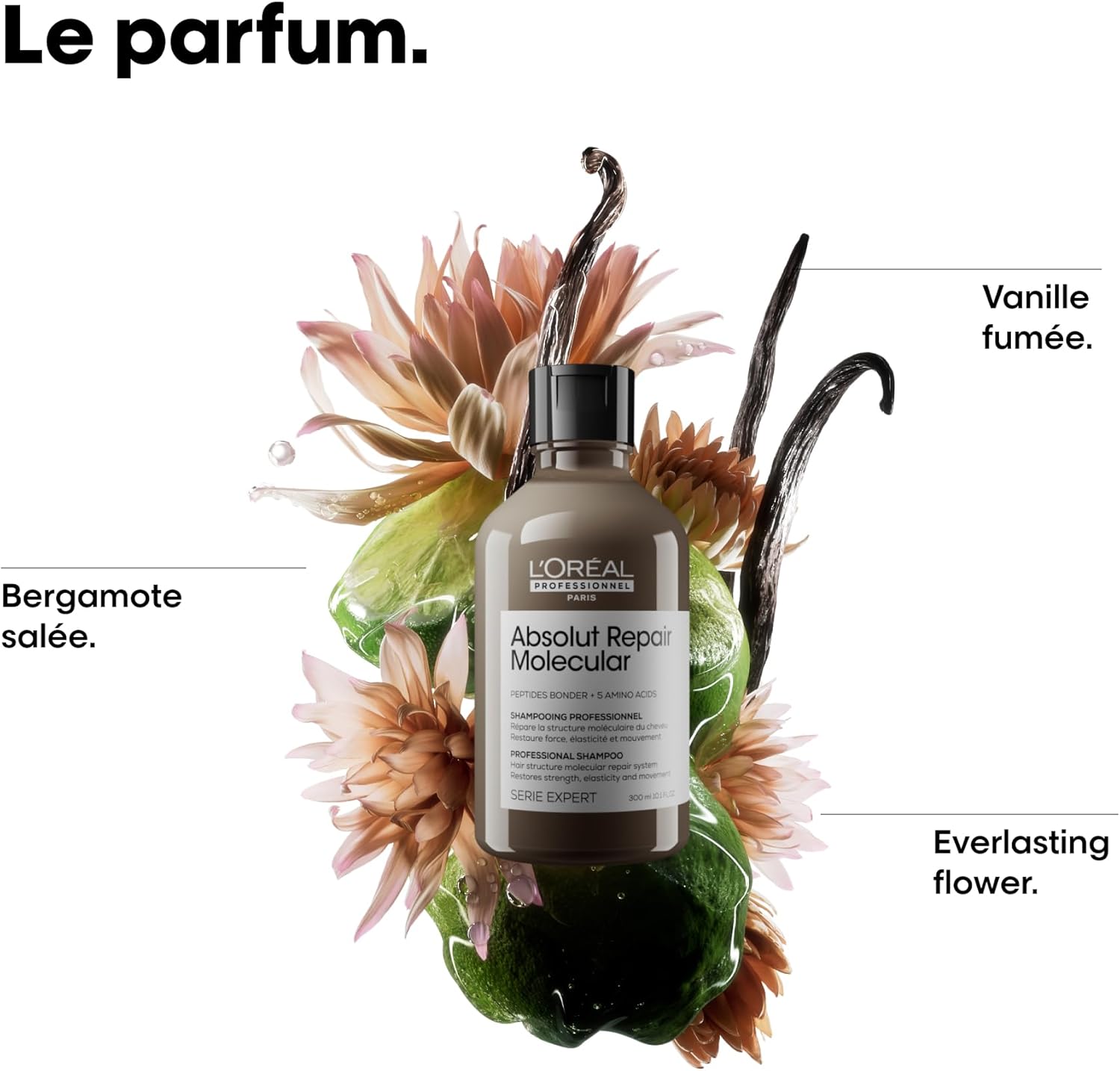 L'Oréal - Absolut Repair Molecular - routine réparatrice - douceur, souplesse, formule brevetée