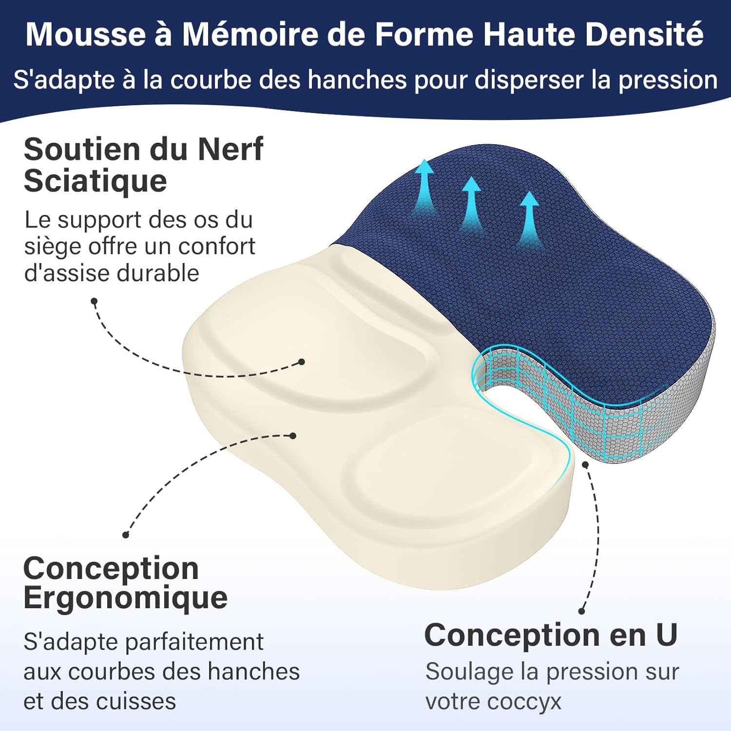 Coussin de siège - ergonomique pour coccyx, chaise, voiture, soulage douleurs sciatiques, bleu marine