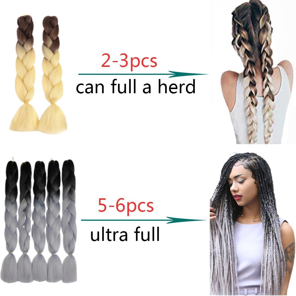 ShowJarlly - Ombre Jumbo Braids 24