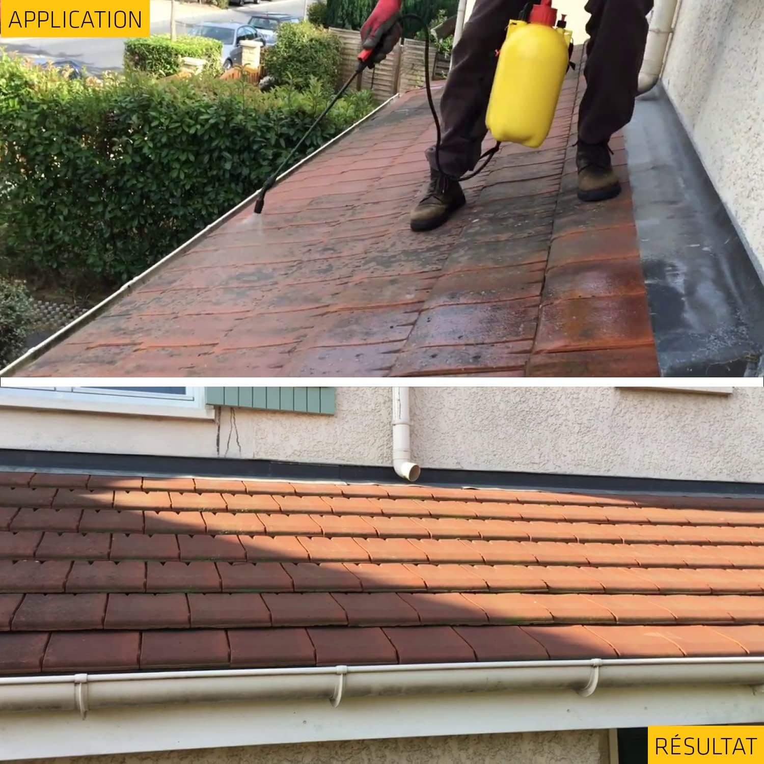 Sika - Sikagard 127 Stop Tout en 1 - 20L - algicide, fongicide, prêt à l'emploi, façades et toiture - Sikagard127