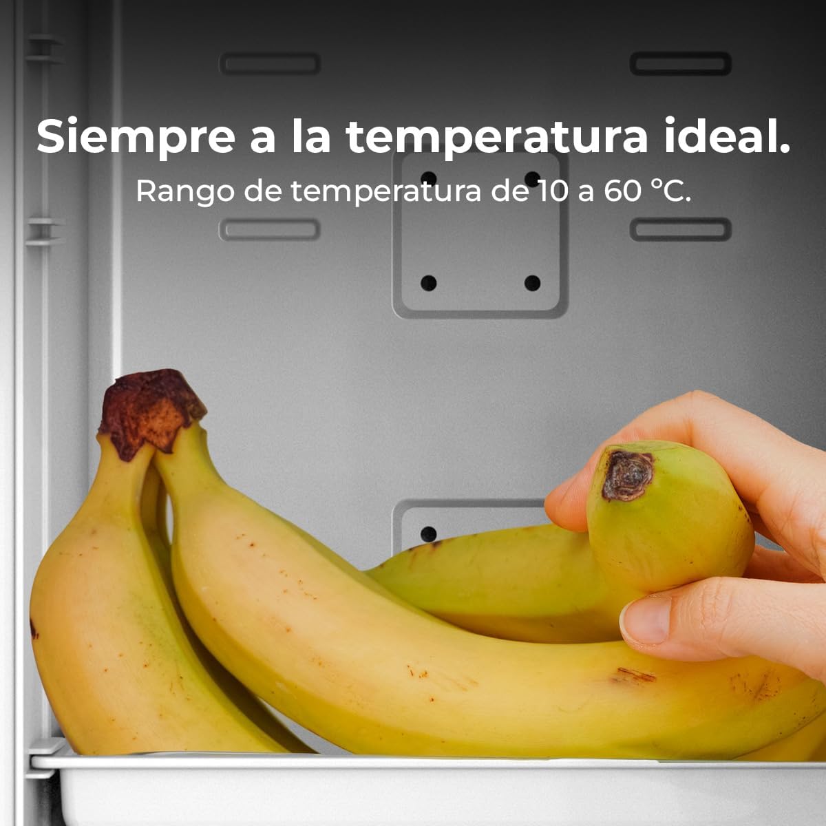 Cecotec - MiniCooling Bahamas Pink - 20L - refroidit 7°C, chauffe 65°C, 12V/220V, compact