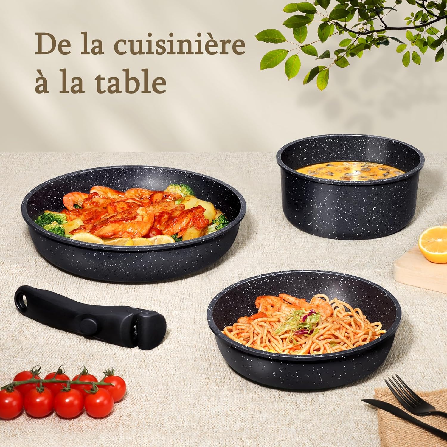 GiPP - Set de 21 pièces avec poignée amovible - induction, céramique, four - GIPP21SET