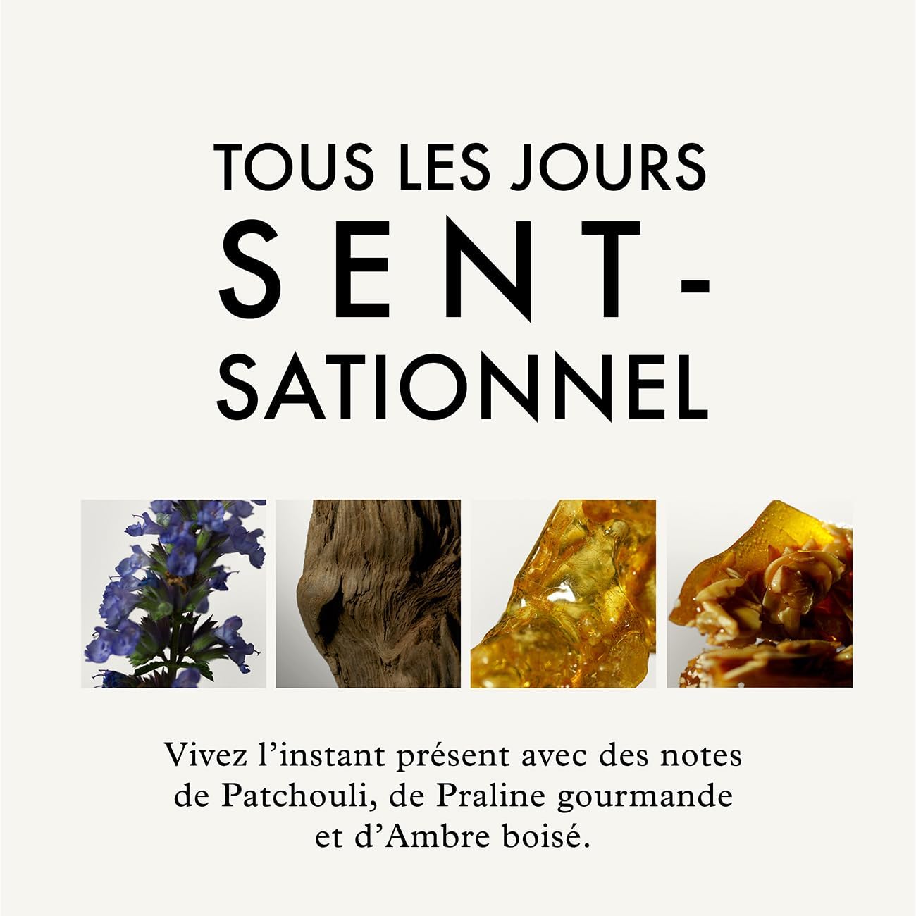 John Frieda - Frizz Ease Boucles Couture - 250ml - soin démêlant cheveux bouclés