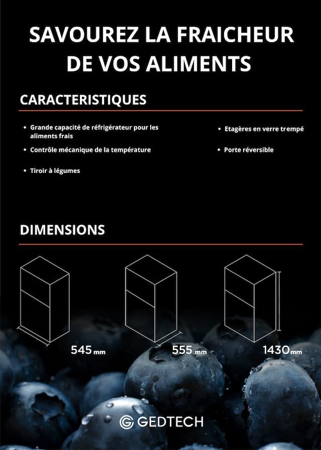 GEDTECH - réfrigérateur congélateur haut, 217L, classe E, GE217DPSL