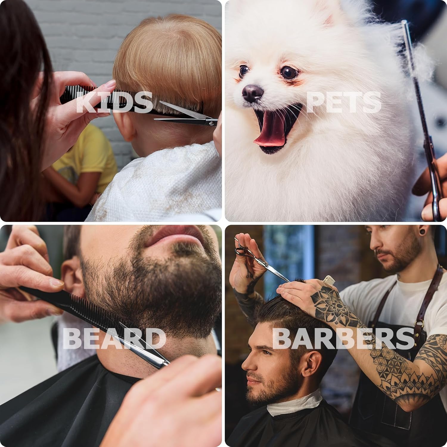 Set Ciseaux Coiffure – Kit complet, accessoires, coupe et effilage