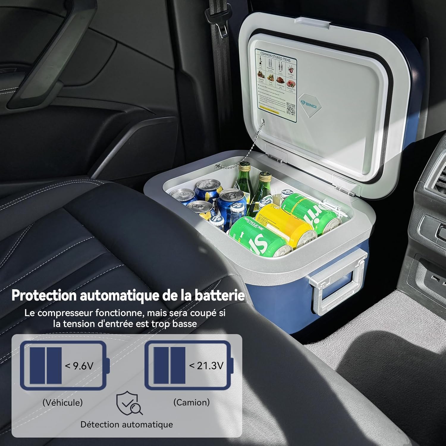 BINGI - Glacière Électrique 18L - Compacte, -18°C à +20°C, à compression
