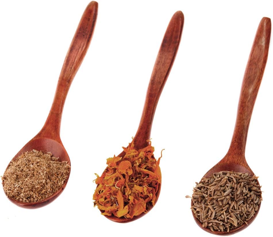 Cuillère à miel en bois naturel - lot de 3 - écologique et polyvalente