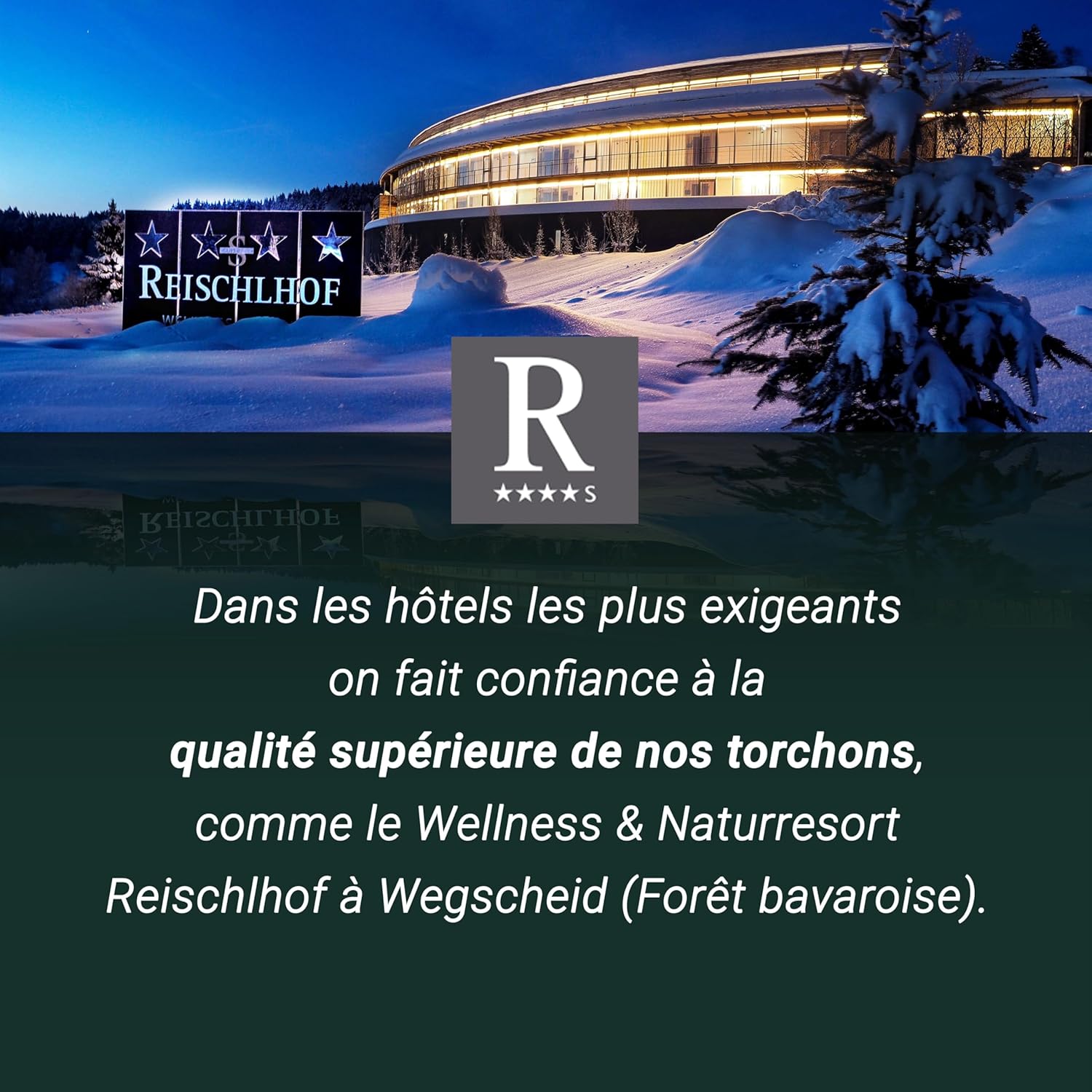 ZOLLNER - lot 6 torchons coton 65x65 cm, absorbants, lavables, Oeko-Tex