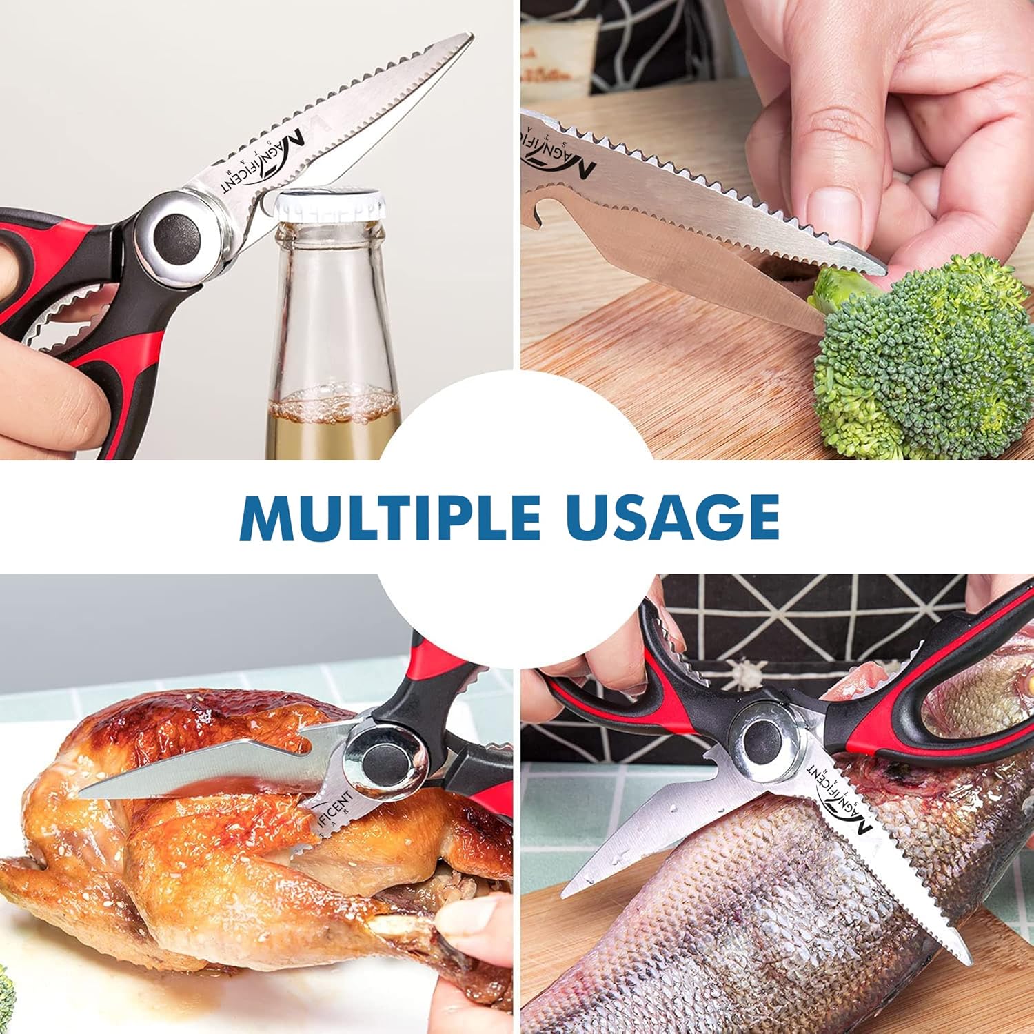 Ciseaux de cuisine – acier inoxydable, poignée confort, couvercle, multifonctions