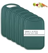 Hunnycook Lot de 6 planches à découper antibactériennes en plastique avec rigole de jus 22 x 15 cm